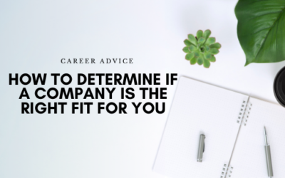 How to Determine if a Company is the Right Fit for You