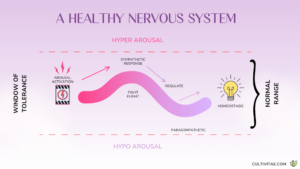 Image for 5 Ways to Manage Stress in the Workplace featuring a diagram of a healthy nervous system showing the wave of arousal activation through hyper arousal (fight or flight) and hypo arousal, with regulation returning the system to homeostasis within the normal range or window of tolerance. Includes labels for sympathetic and parasympathetic responses.
